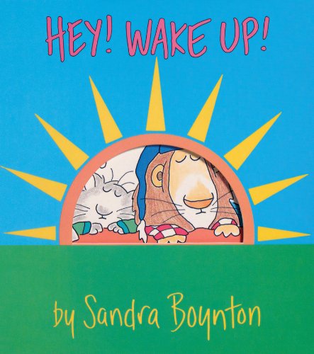 Hey! wake up! by Sandra Boynton