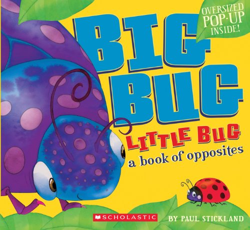 Big Bug, Little Bug by Paul Stickland