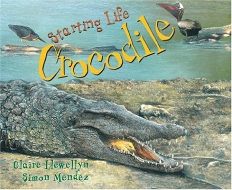 Starting Life: Crocodile by Claire Llewellyn