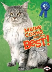 Maine Coons Are the Best!