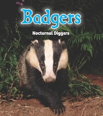 Badgers (Read and Learn: Night Safari)