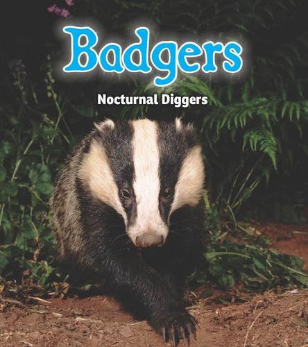 Badgers (Read and Learn: Night Safari) by Rebecca Rissman