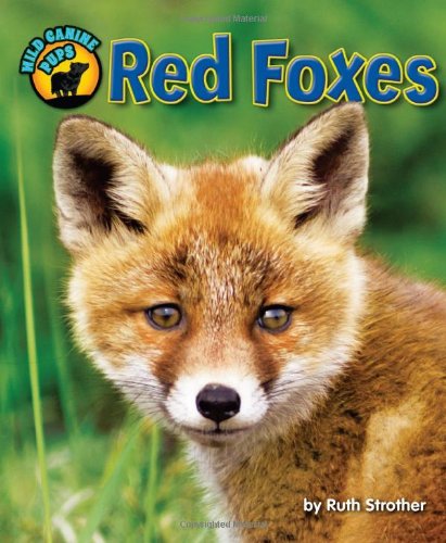 Red Foxes by Ruth Strother