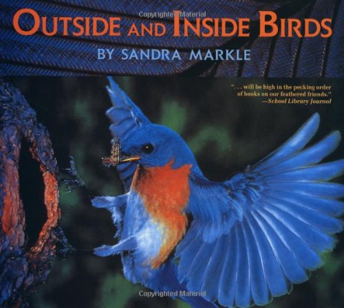 Outside and Inside Birds by Sandra Markle