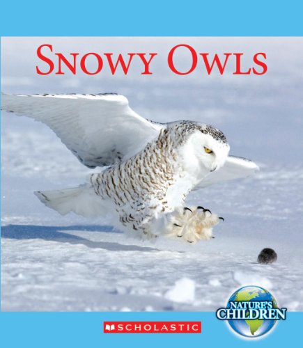 Snowy Owls by Jennifer Zeiger