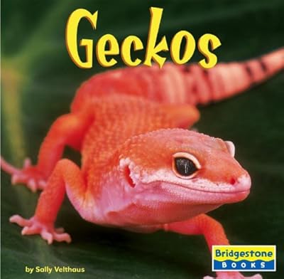 Geckos (Bridgestone Books World of Reptiles)