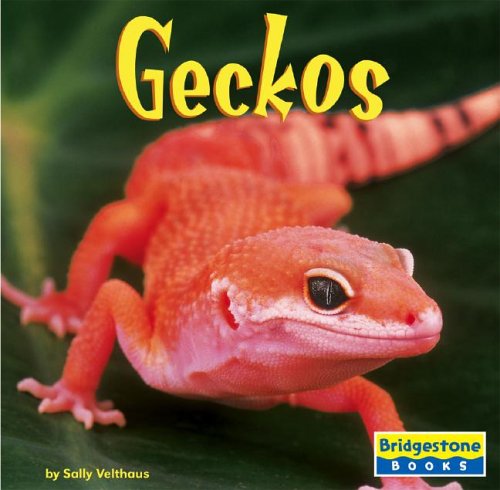 Geckos (Bridgestone Books World of Reptiles) by Patricia