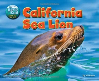 California Sea Lion