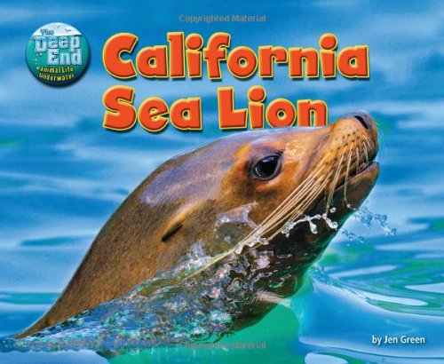 California Sea Lion by Jen Green