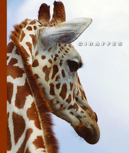 Giraffes (World of Mammals (Childs World)) by Sophie Lockwood