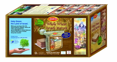 Algopix Similar Product 1 - Osem Whole Wheat Israeli Matzah