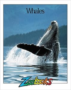Whales (Zoobooks Series)