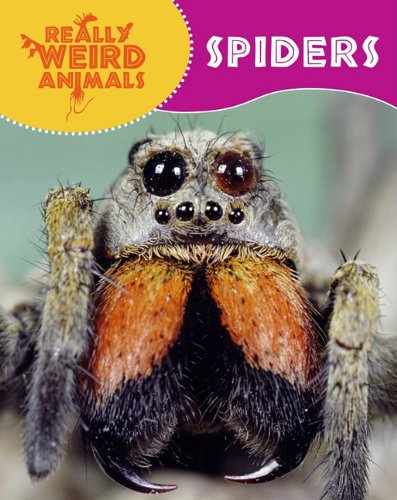 Spiders (Really Weird Animals) by Clare Hibbert