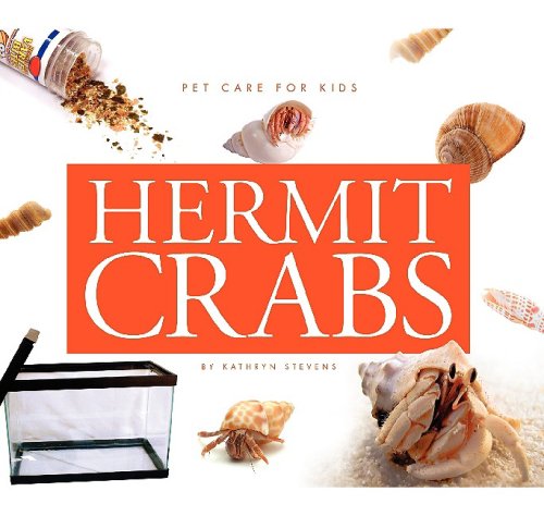 Hermit Crabs by Kathryn Stevens