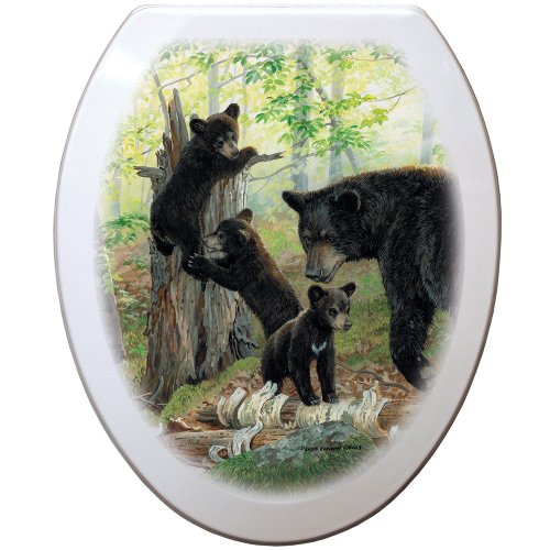 

Comfort Seats C1B4E2-703-00AB Playtime Elongated White Toilet Seat, Antique Brass