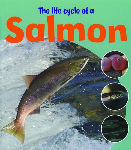 The Life Cycle of a Salmon (Learning about Life Cycles) by Ruth Thomson