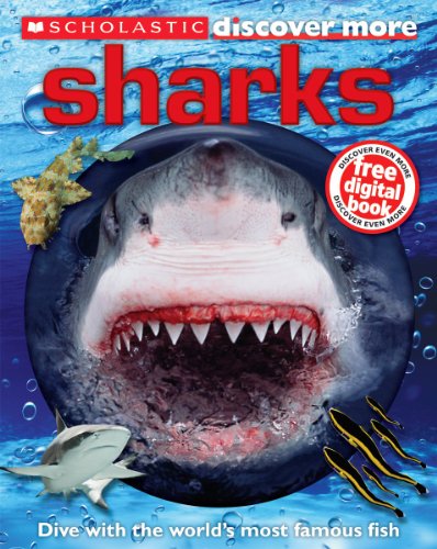Scholastic Discover More: Sharks by Penelope Arlon