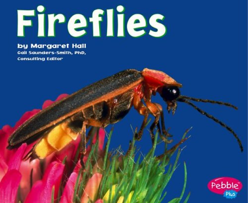 Fireflies (Pebble Plus: Bugs, Bugs, Bugs!) by Margaret