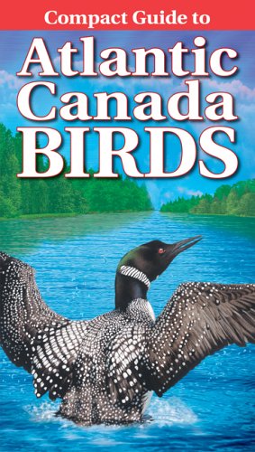 Compact Guide to Atlantic Canada Birds by Roger Burrows