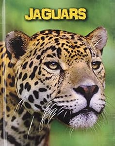 Jaguars