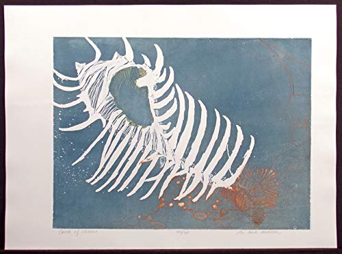 Algopix Similar Product 5 - Comb of Venus