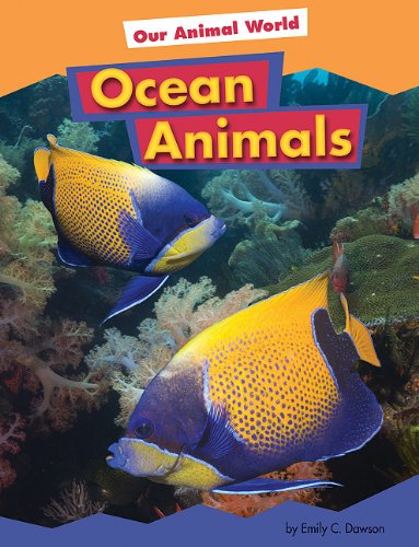 Ocean Animals by Emily C. Dawson