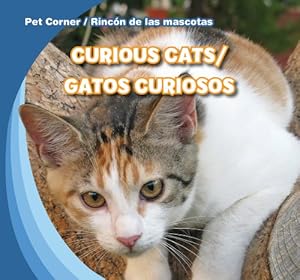 Curious Cats / Gatos curiosos