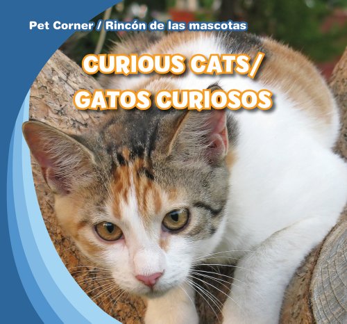 Curious Cats / Gatos curiosos by Katie Kawa
