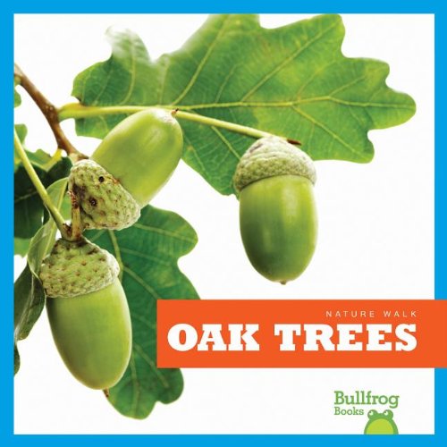 Oak Trees by Rebecca Stromstad Glaser