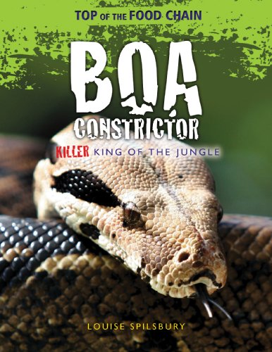 Boa Constrictor: Killer King of the Jungle by Louise Spilsbury