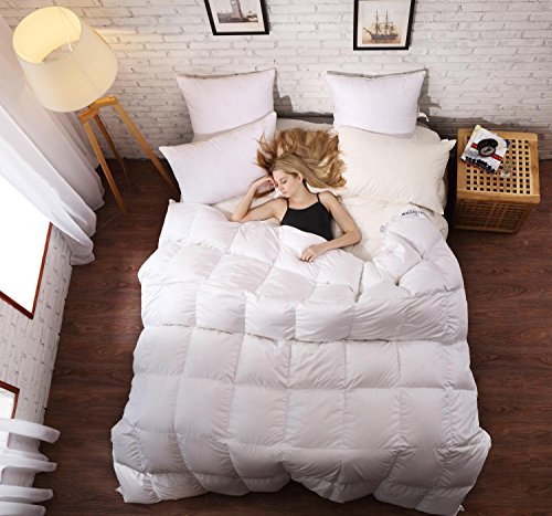 Algopix Similar Product 6 - SLEEP RHYTHM Luxurious Goose Down