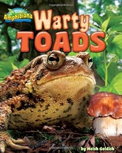 Warty Toads