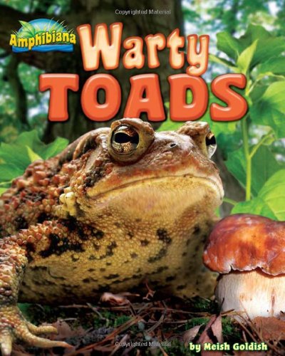 Warty Toads by Meish Goldish