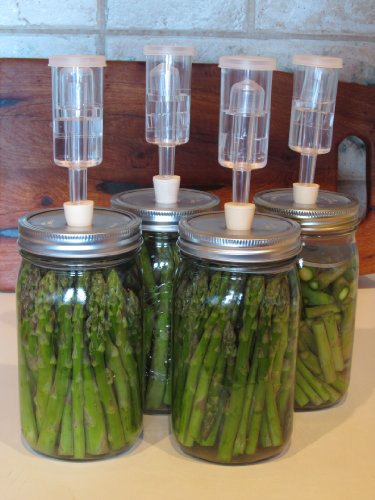 

6 Pack Kit - Turn any wide mouth mason jar into a fermenting crock