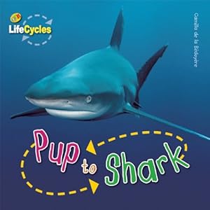 Pup to Shark