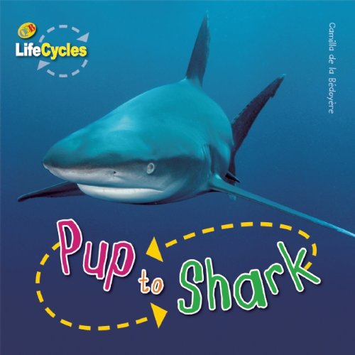 Pup to Shark by Camilla de la Bedoyere