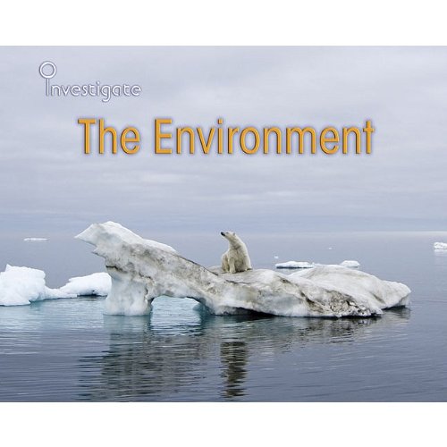 The Environment (Investigate) by Louise Spilsbury
