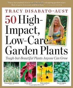 50 High-Impact, Low-Care Garden Plants