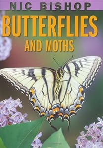 Nic Bishop: Butterflies and Moths by Nic Bishop