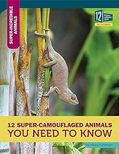 12 Super-Camouflaged Animals You Need to Know (Super-incredible Animals)