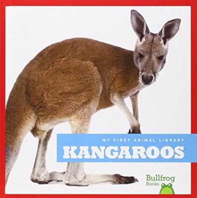 Kangaroos