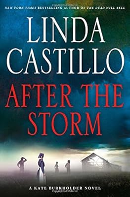 After the Storm: A Kate Burkholder Novel