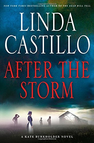 After the storm by Linda Castillo