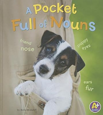 A Pocket Full of Nouns