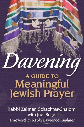 Davening: A Guide to Meaningful Jewish Prayer by Joel Segel