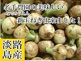名手農園 淡路島産 新たまねぎ 2016年産  5kg(15?20個)　期間限定サービス価格で販売中！