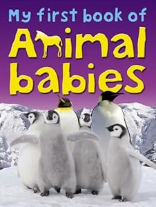 My First Book of Animal Babies