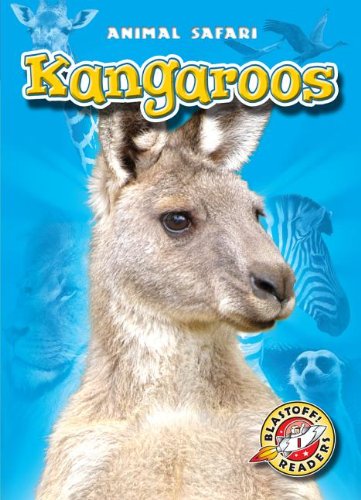 Kangaroos by Kari Schuetz