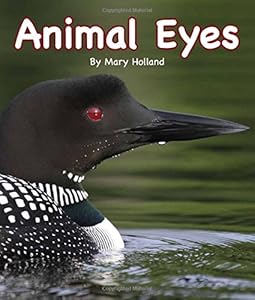 Animal Eyes