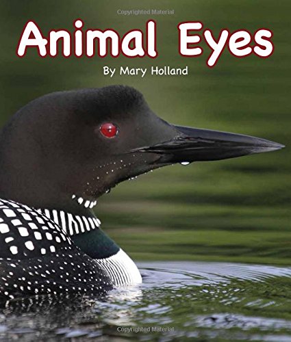 Animal Eyes by Mary Holland